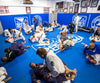 Training Days: Surfline Visits SBJJ