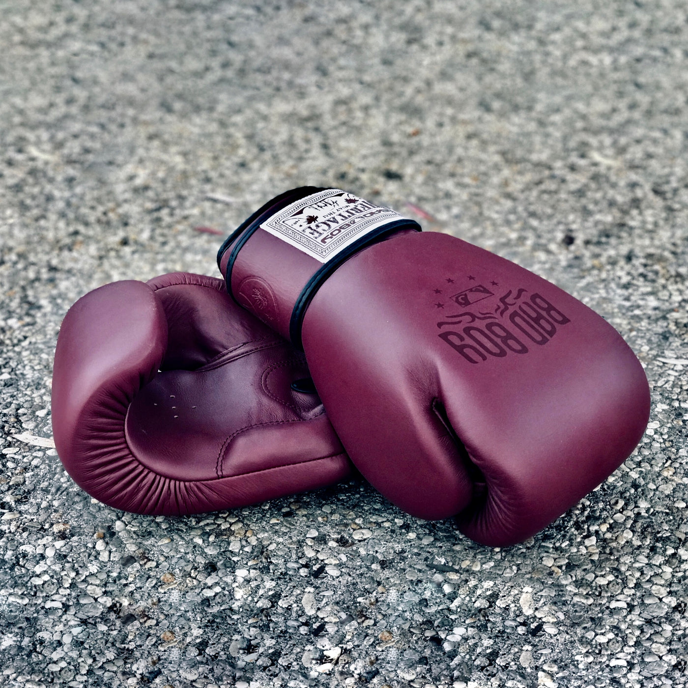 Heritage Thai Boxing Gloves