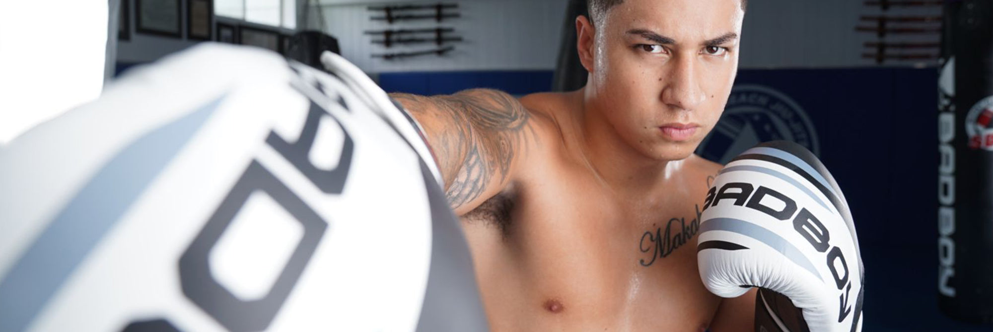 Pro Series Boxing Gloves