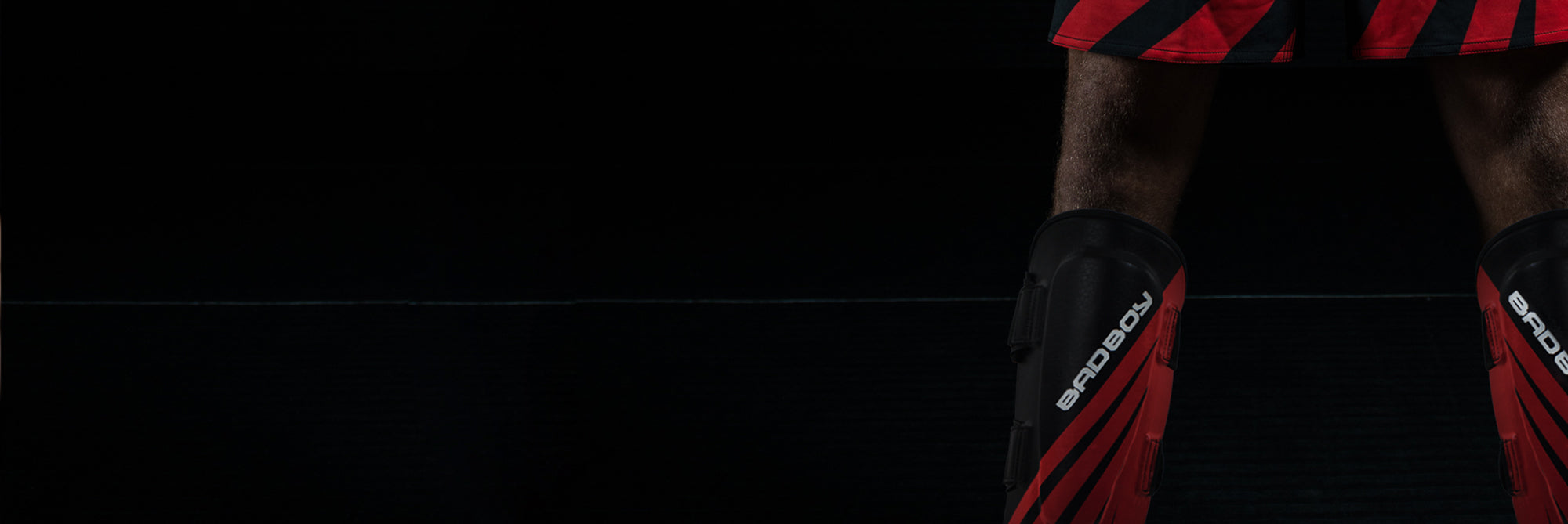 Training Series Shin Guards