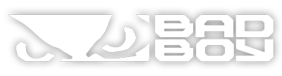 Bad Boy logo